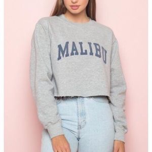 Brandy Melville Malibu Crop Sweatshirt Gray